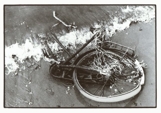 Photograph