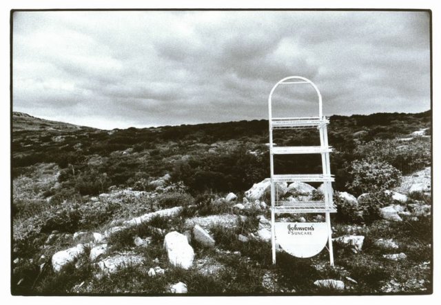 Photograph