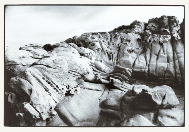 Photograph