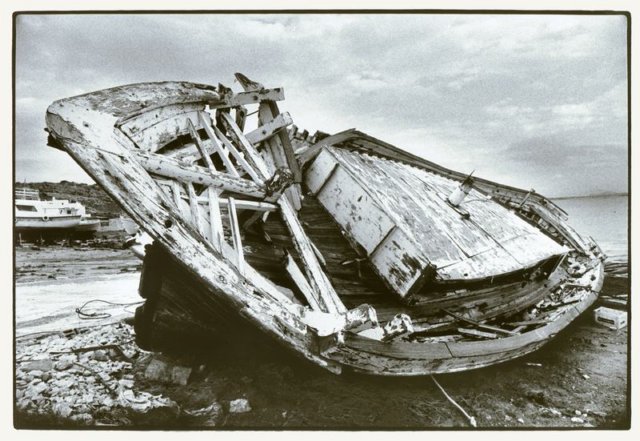 Photograph